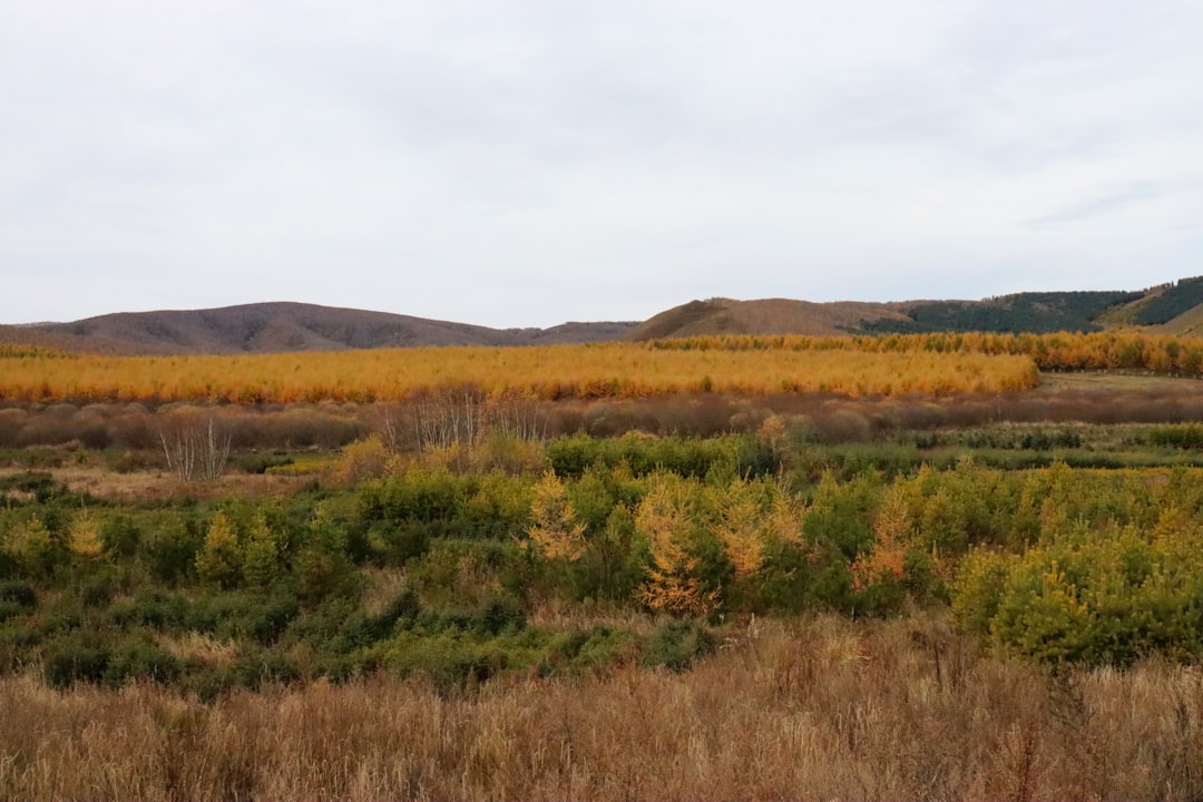 The Thrill of the Open Road: Embracing Adventure in Outdoor Travel